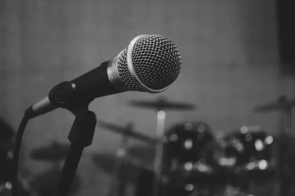 Professional studio microphone