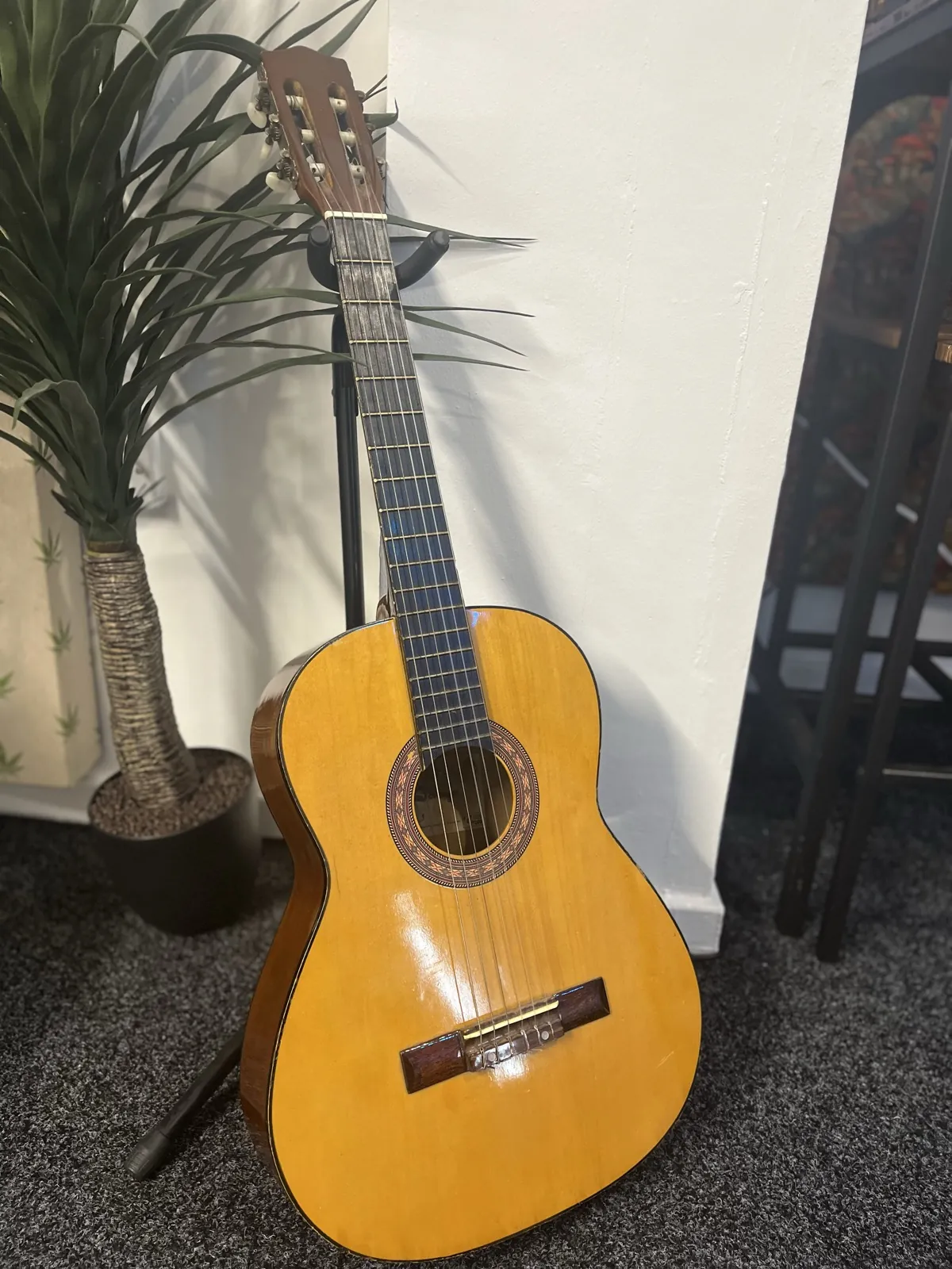 Classical guitar